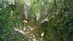 DSCN0624.jpg
