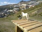 IMG-20130624-WA0009.jpg