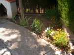 DSC03898.JPG