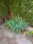 DSC03899.JPG