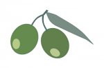 aceituna_.jpg