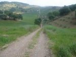DSC02085.JPG