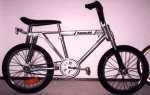 bx100.gif
