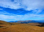 IMG_6981.JPG