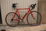 EDDY-FOROMTB.jpg