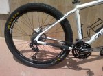 cannondale (5).jpg