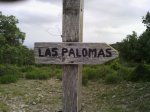 IMG_20130626_173944.jpg