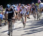 pinot_preview620.jpg