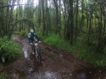 II BTT O Pino 2.jpg