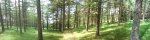PANO_20130628_143401.jpg