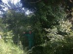 foto0311.jpg