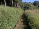 foto0324.jpg