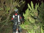 DSC04244.JPG