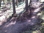 curro bici.jpg