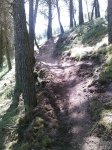 bike curro2.jpg