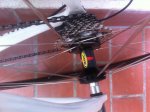 photo[1] copia MTB.jpg