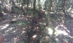 IMG-20130629-WA0036.jpg