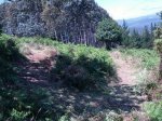 IMG-20130629-WA0040.jpg