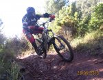 calde2x.jpg