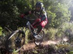 calde20X.jpg