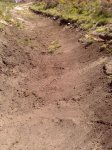 1000827_538458492880652_1203296249_n[1].jpg
