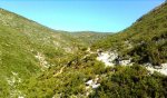 Imagen2306.jpg