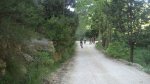 DSC_0414.jpg