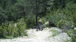 DSC_0454.jpg
