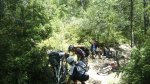 DSC_0455.jpg