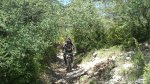DSC_0459.jpg