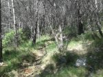 IMG-20130630-WA0001.jpg