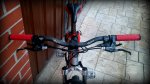 Bici Coco (2).JPG