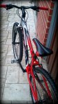 Bici Coco (3).JPG