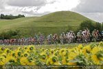tdf08.jpg