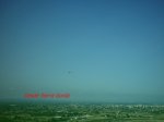 009.JPG