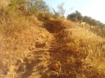 IMG_20130613_200220.jpg