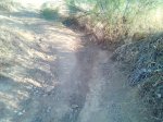 IMG_20130613_200258.jpg