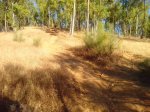 IMG_20130613_200309.jpg