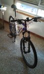 IMAG0685.jpg