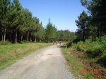 DSC00382.JPG