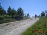 DSC00393.JPG