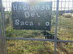 04072013559 - copia.jpg