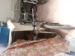 20130620_135917_opt.jpg
