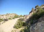 DSC00208.JPG
