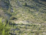 DSC00216.JPG