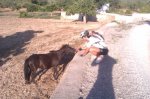 IMAG0956.jpg