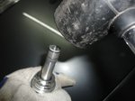 nucleo4.JPG