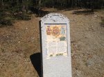 IMG_1983.JPG