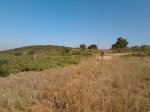 2013-07-07 09.38.50.jpg