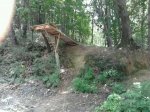 IMG-20130707-WA0001.jpg